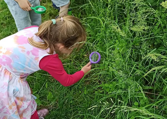 Domacija Vesel בית נופש *