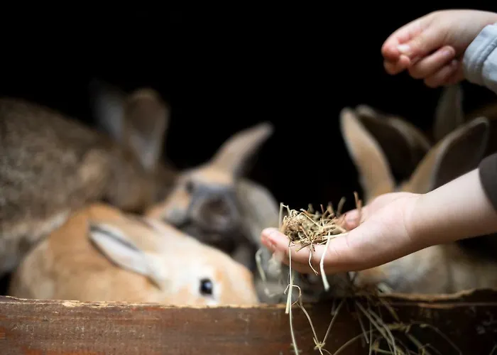 בית נופש Domacija Vesel *