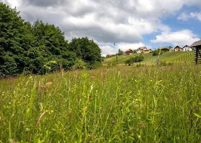 בית נופש Domacija Vesel Trebnje
