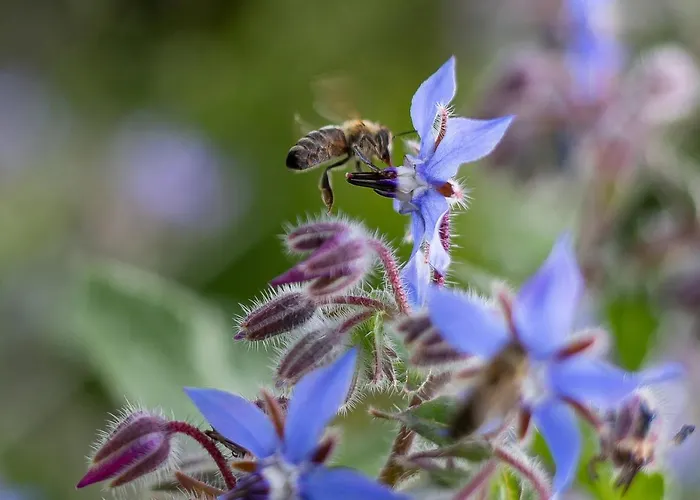 Domacija Vesel 別荘