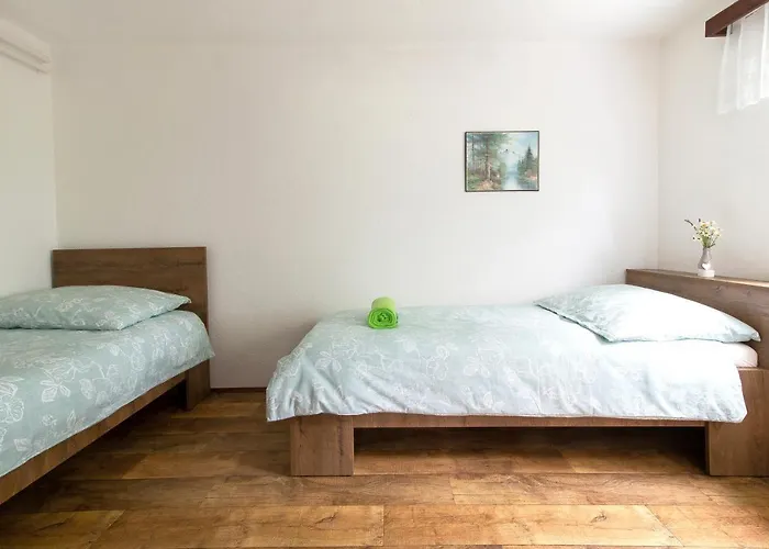 בית נופש Domacija Vesel